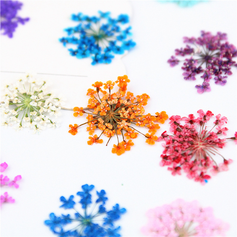 Art Craft 2 Year Olds - PMurcia-Fleurs en dentelle, goutte de neige,