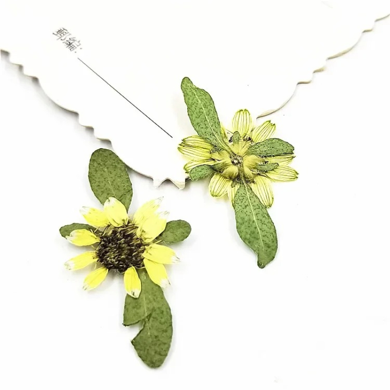 24 pièces, mini tournesols pre - Art Craft 2 Year Olds avis et prix