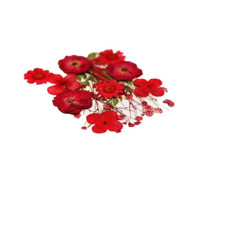 Fleurs séchées naturelles, fle - Art Craft Flower Making avis et prix