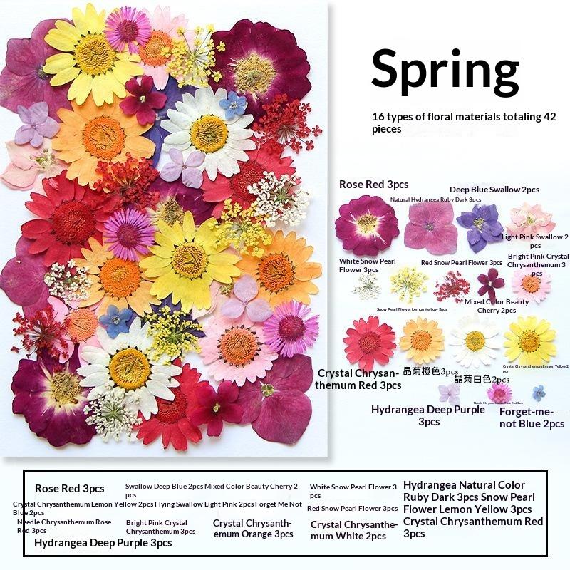 Fleurs séchées naturelles, fle - Art Craft Flower Making avis et prix