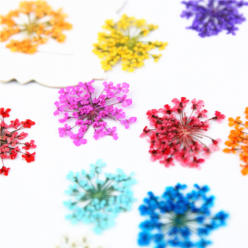 PMurcia-Fleurs en dentelle, go - Art Craft 2 Year Olds avis et prix